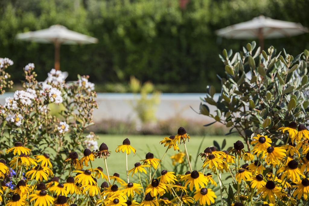 Ca Muretta Relais Bardolino Buitenkant foto